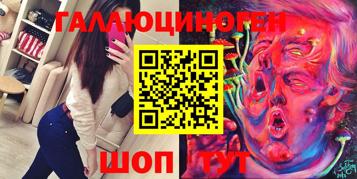 Псилоцибиновые грибы Psilocybe Ивантеевка